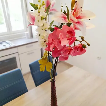 Apartment Matea Pag *