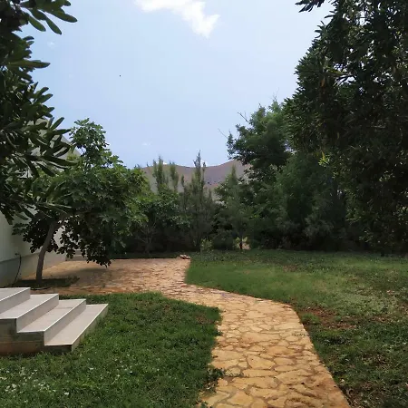 Apartman Matea Pag