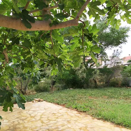 Matea Pag Apartman *